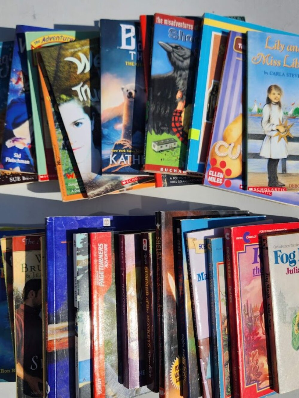 4 Book Bundle Lot Set Chapter Books Young Adult Literature Novels Mystery Books - Picture 2 of 16